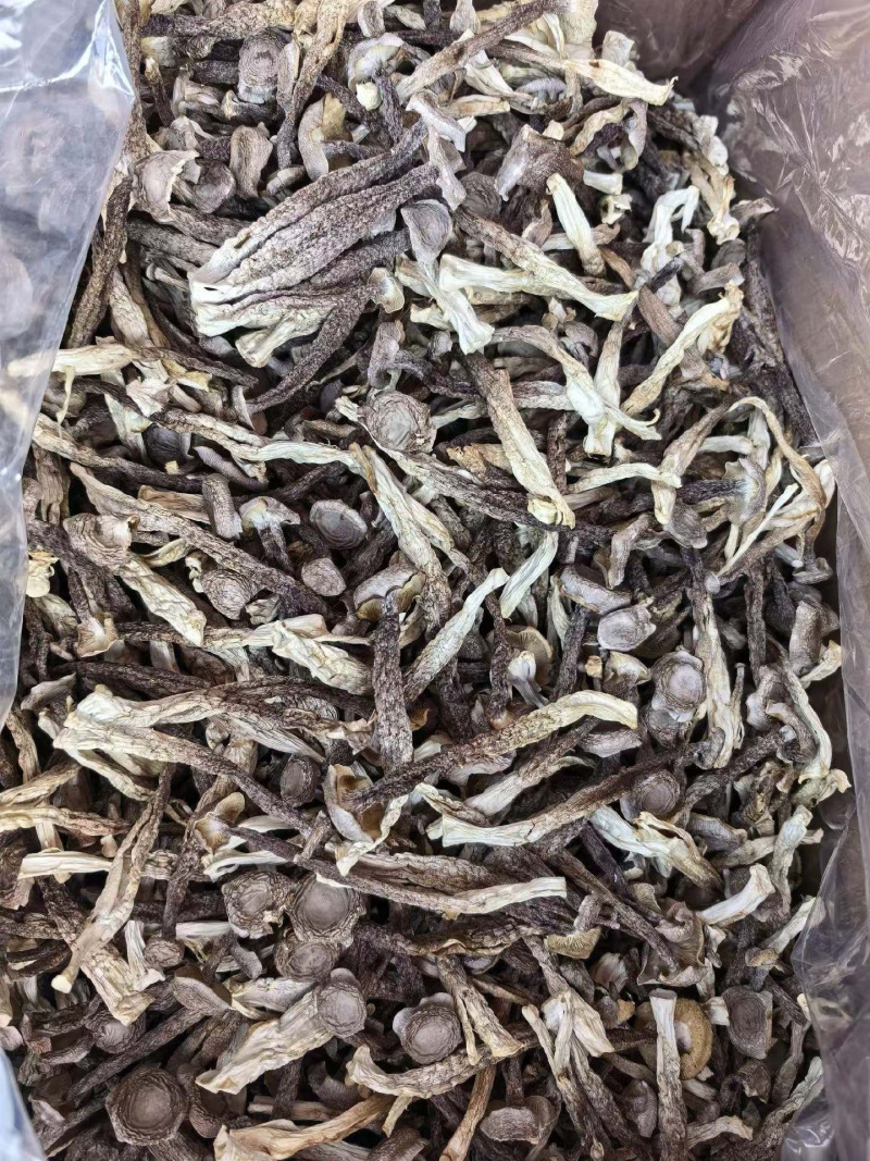 精品鹿茸菇，厂家直销