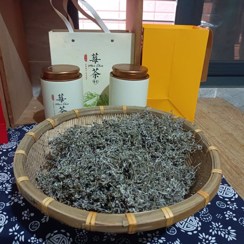 湘田霉茶