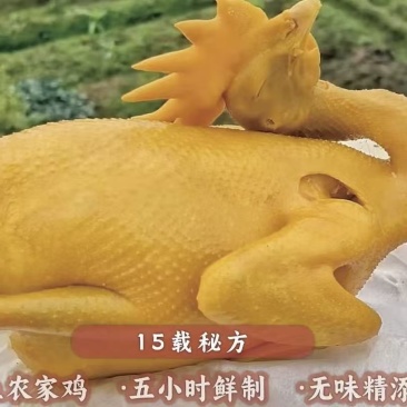广东省梅州客家风味盐焗鸡1.9斤～2.3斤1只