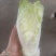 特快白