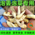 贵州正宗新鲜嫩姜芽仔姜糖醋腌制开胃当季食用泡菜泡姜专用