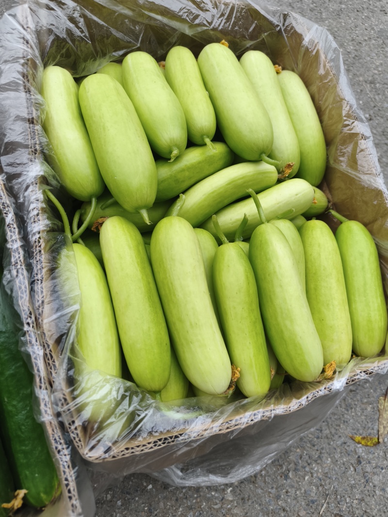 奶油黄瓜