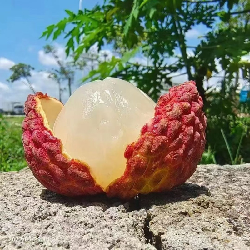 海南荔枝王，支持一件代发，顺丰空运