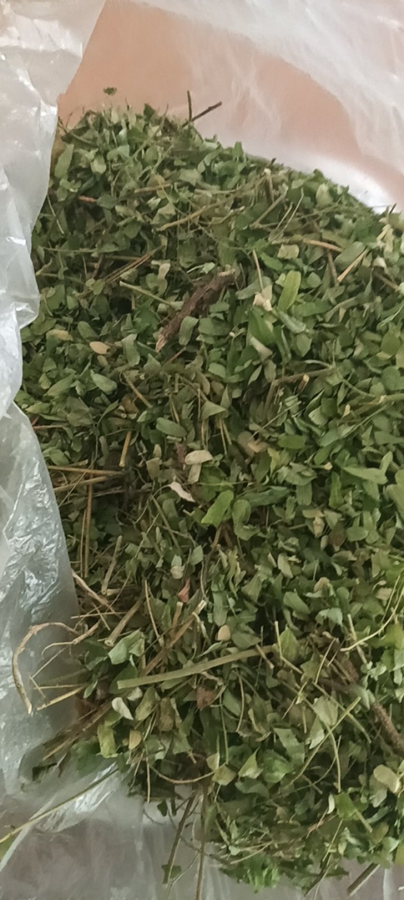 纯晒干货相思茶鸡骨切段晒干直销便宜欢迎大家来采购鸡骨草茶
