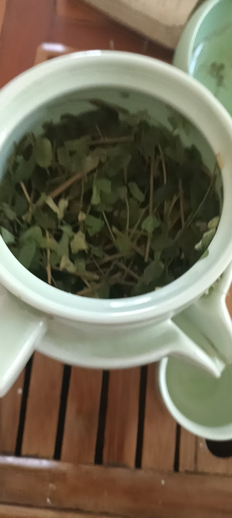 纯晒干货相思茶鸡骨切段晒干直销便宜欢迎大家来采购鸡骨草茶