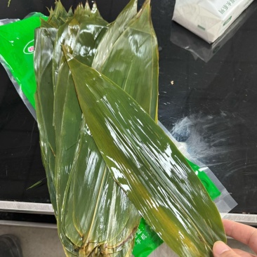 新鲜粽子叶，大量现货，支持一件代发