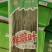 新鲜粽子叶，大量现货，支持一件代发