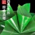 新鲜粽子叶，大量现货，支持一件代发