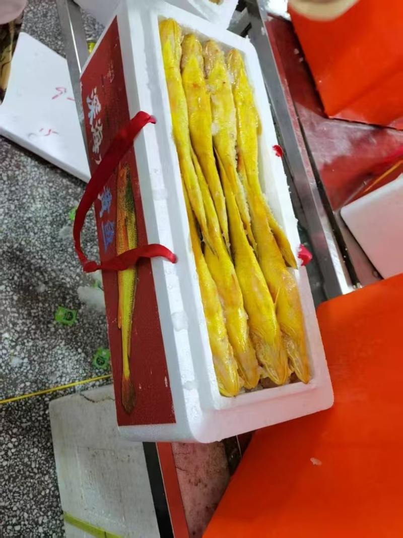 正宗深海大黄鱼急冻，顺丰特快包邮，不含冰