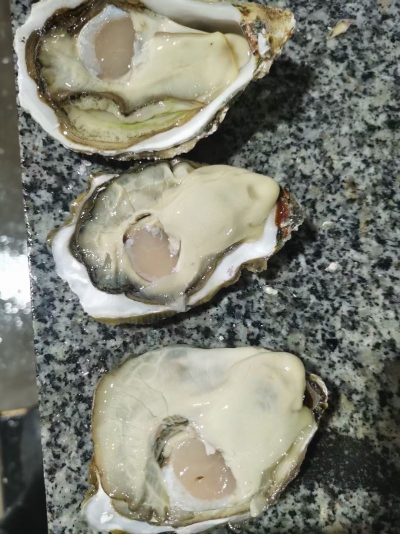 生蚝，乳山生蚝大连生蚝烧烤酒店自助餐全国发货欢迎咨询来电