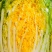 黄心大白菜对接全国食堂加工厂量大价优欢迎来电