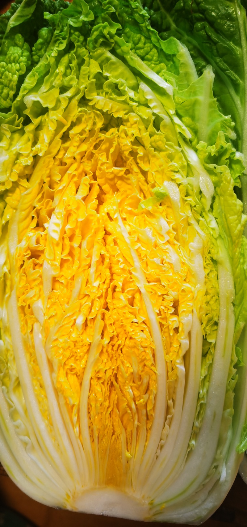 黄心大白菜对接全国食堂加工厂量大价优欢迎来电