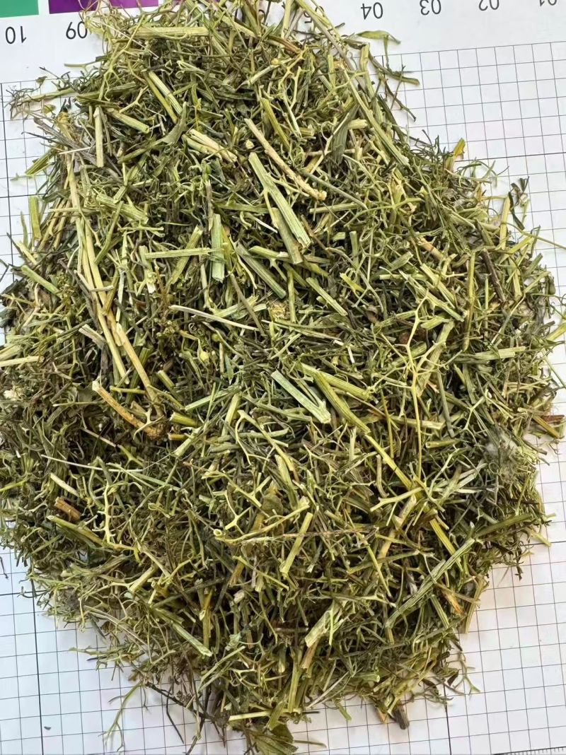 百蕊草中药材正品百蕊草干净无硫品质保证冷背中药材