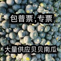 包票，大量供应贝贝南瓜，市场货，电商货