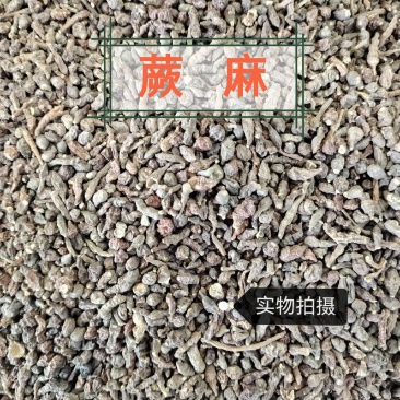 蕨麻中药材人参果正品蕨麻干净无硫品质保证
