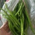 青线椒精品大量.通货.电商货.量大从优货源充足可发全国