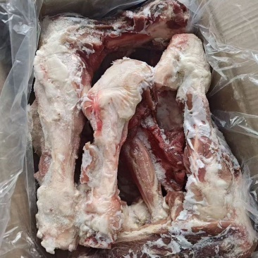 后腿骨