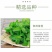 薄荷