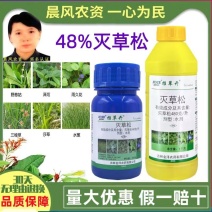 金秋推草开48%灭草松水稻田马铃薯苗后莎草阔叶杂草三棱草