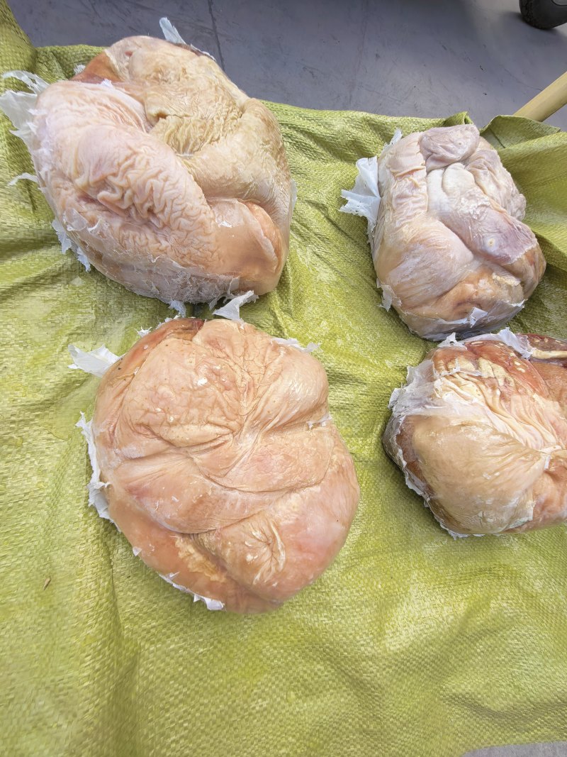 新鲜马肚子精修去油免洗非常干净价位合适10+