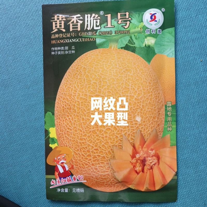 黄香脆1号哈蜜瓜种子黄皮红肉大果型抗病抗裂