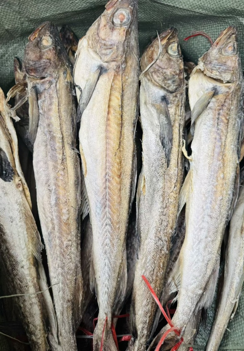 40+松身带头财鱼松板柴鱼明太鱼40公分鳕鱼干鱼鱼干