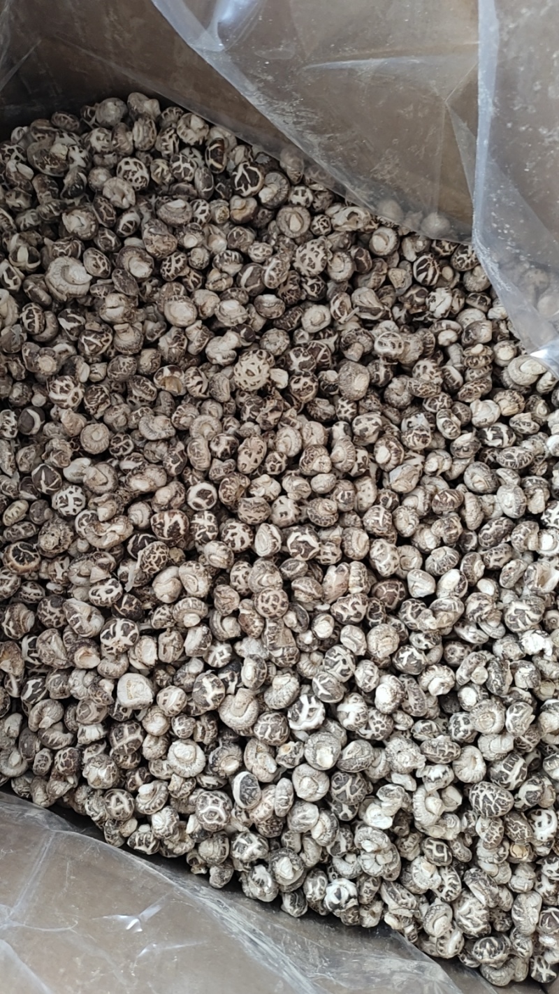 1.5到1.8的1.8到2.2的小花菇平脚