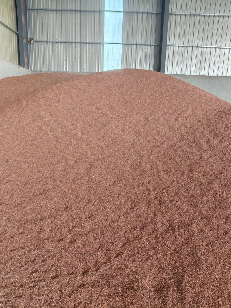 红高梁