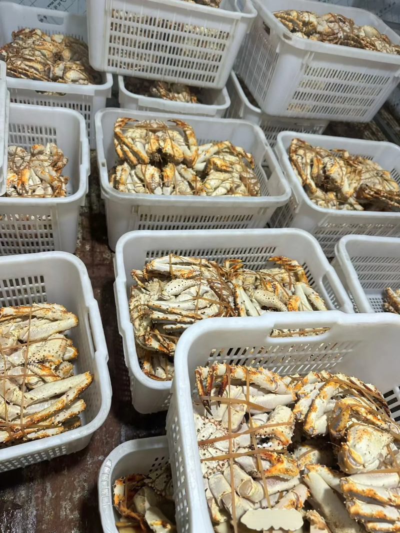 生冻帝王蟹蓝蟹帝王蟹