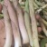 竹叶菜鲜货，看得见的新鲜