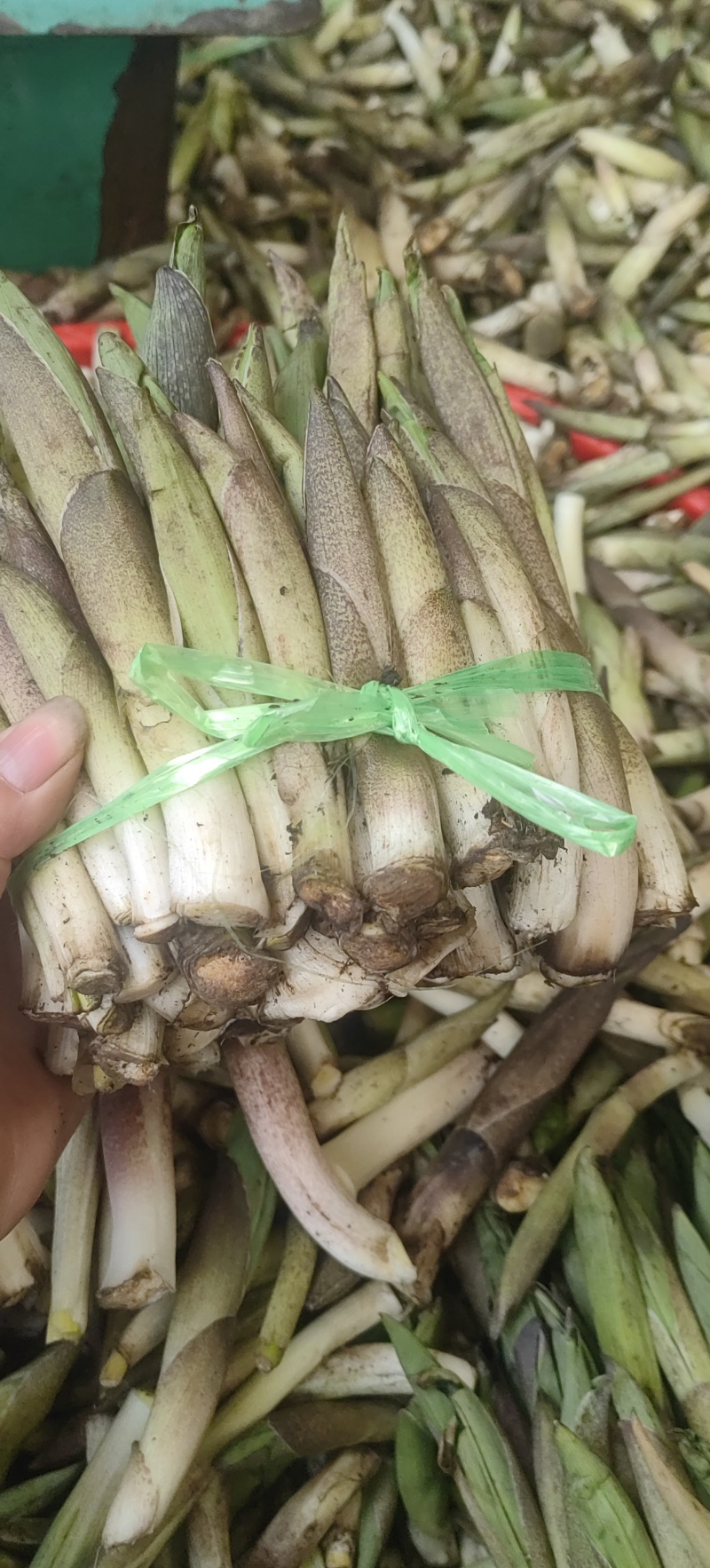 竹叶菜鲜货，看得见的新鲜