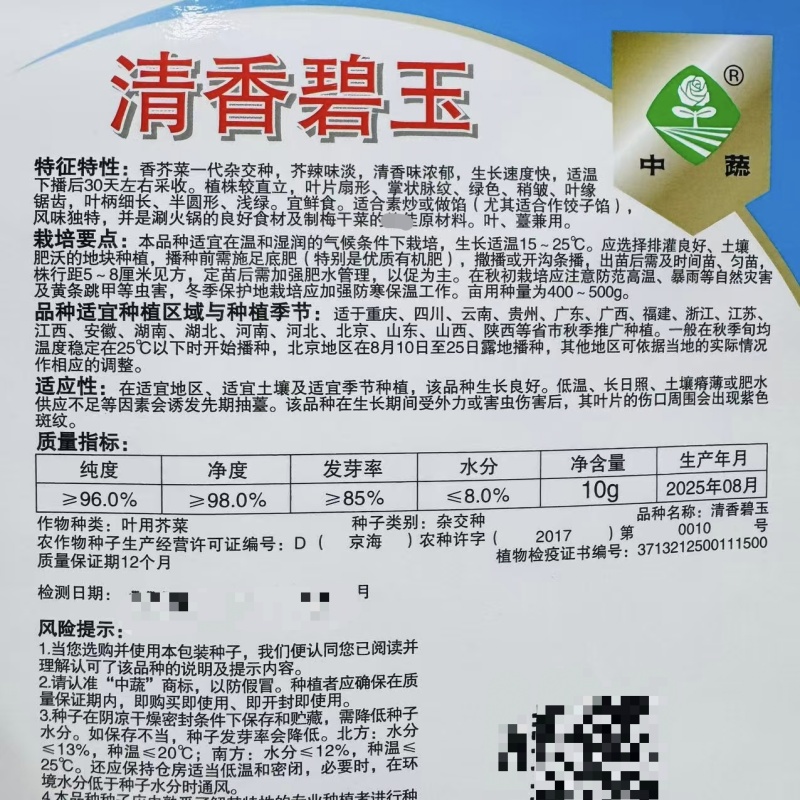 清香碧玉香芥菜种子杂交饺子菜种子梅干菜种籽清香浓郁秋季菜