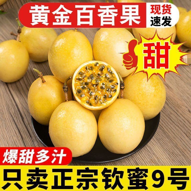 正宗广西海南钦蜜9号黄金百香果大果新鲜现摘应季黄色孕妇鲜