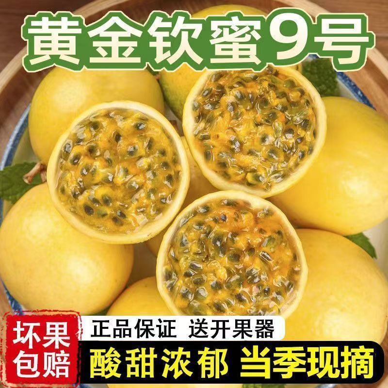 正宗广西海南钦蜜9号黄金百香果大果新鲜现摘应季黄色孕妇鲜