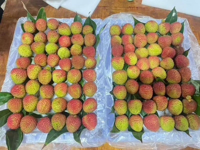 新上市广西荔枝正宗灵山荔枝妃子笑荔枝新鲜荔枝