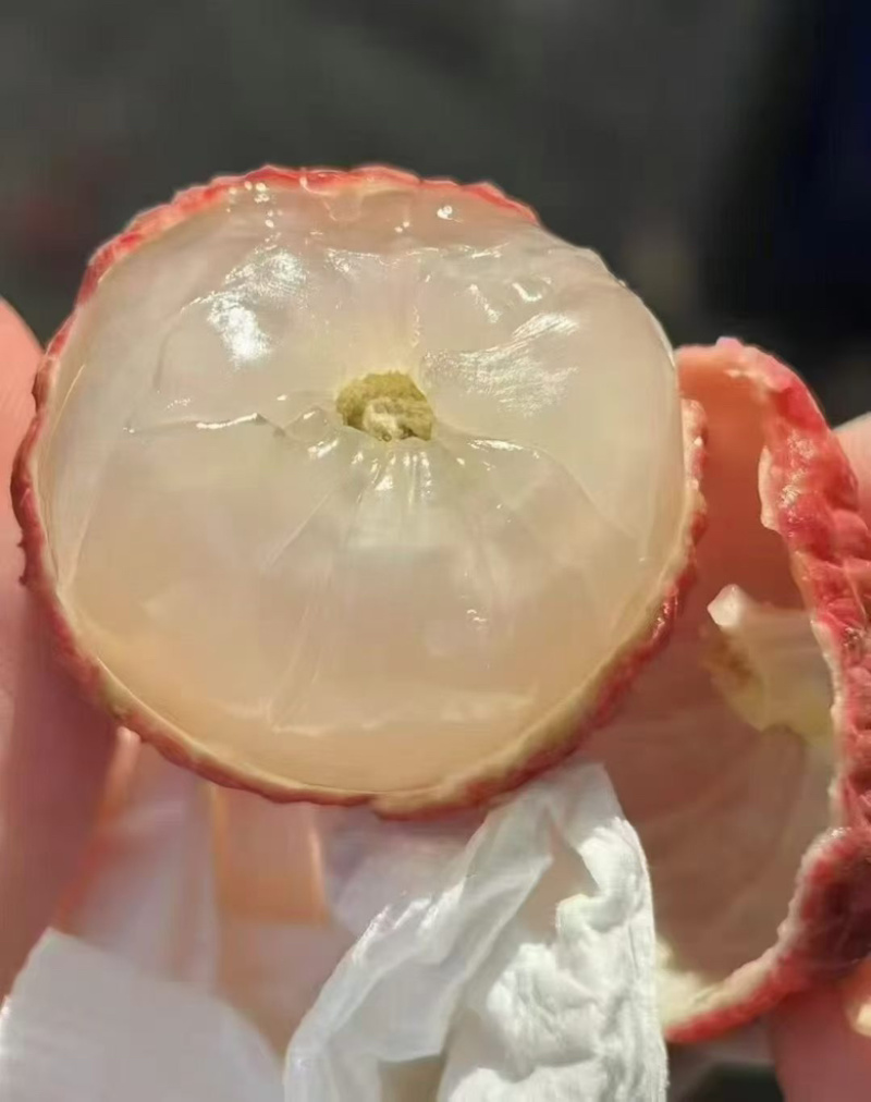 新上市广西荔枝正宗灵山荔枝妃子笑荔枝新鲜荔枝