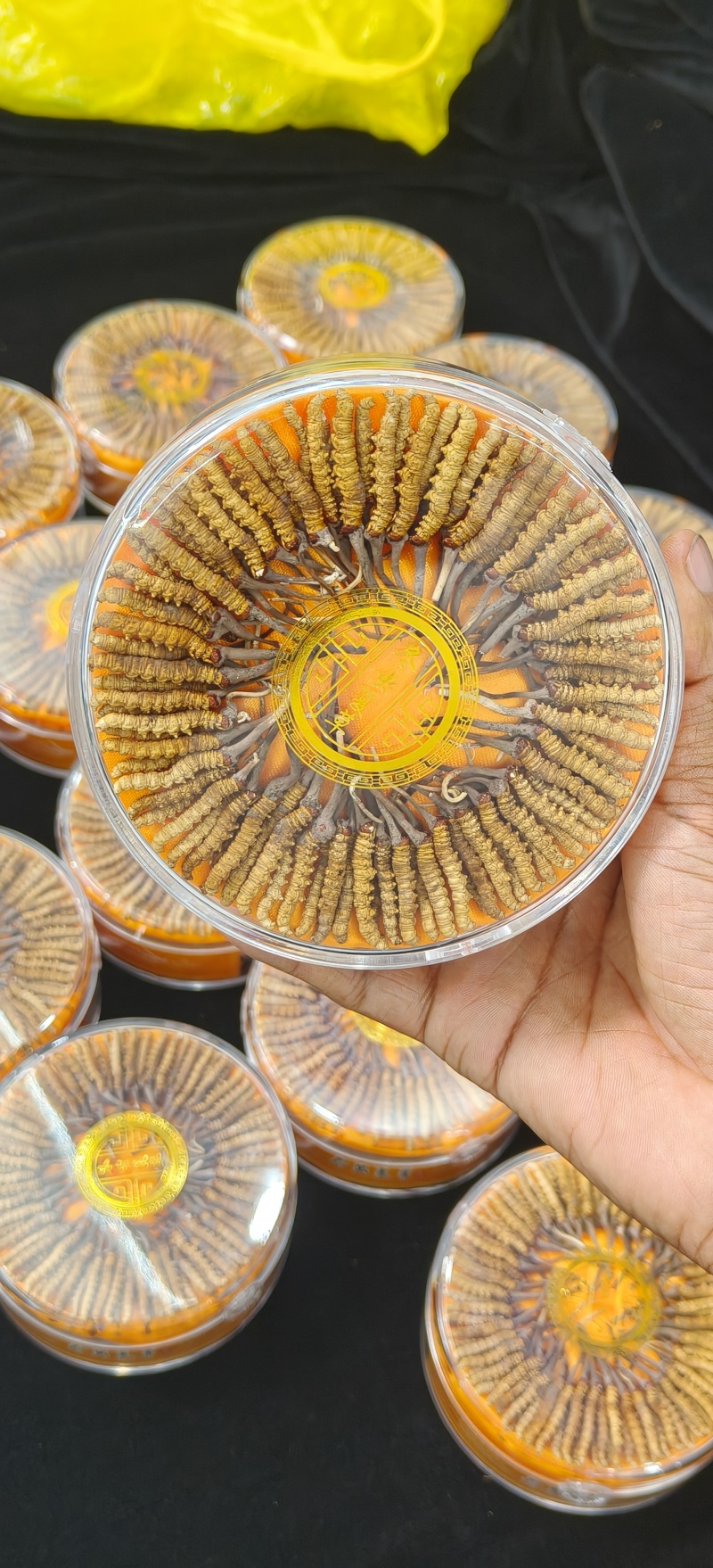 野生冬虫夏草冻干锁鲜
