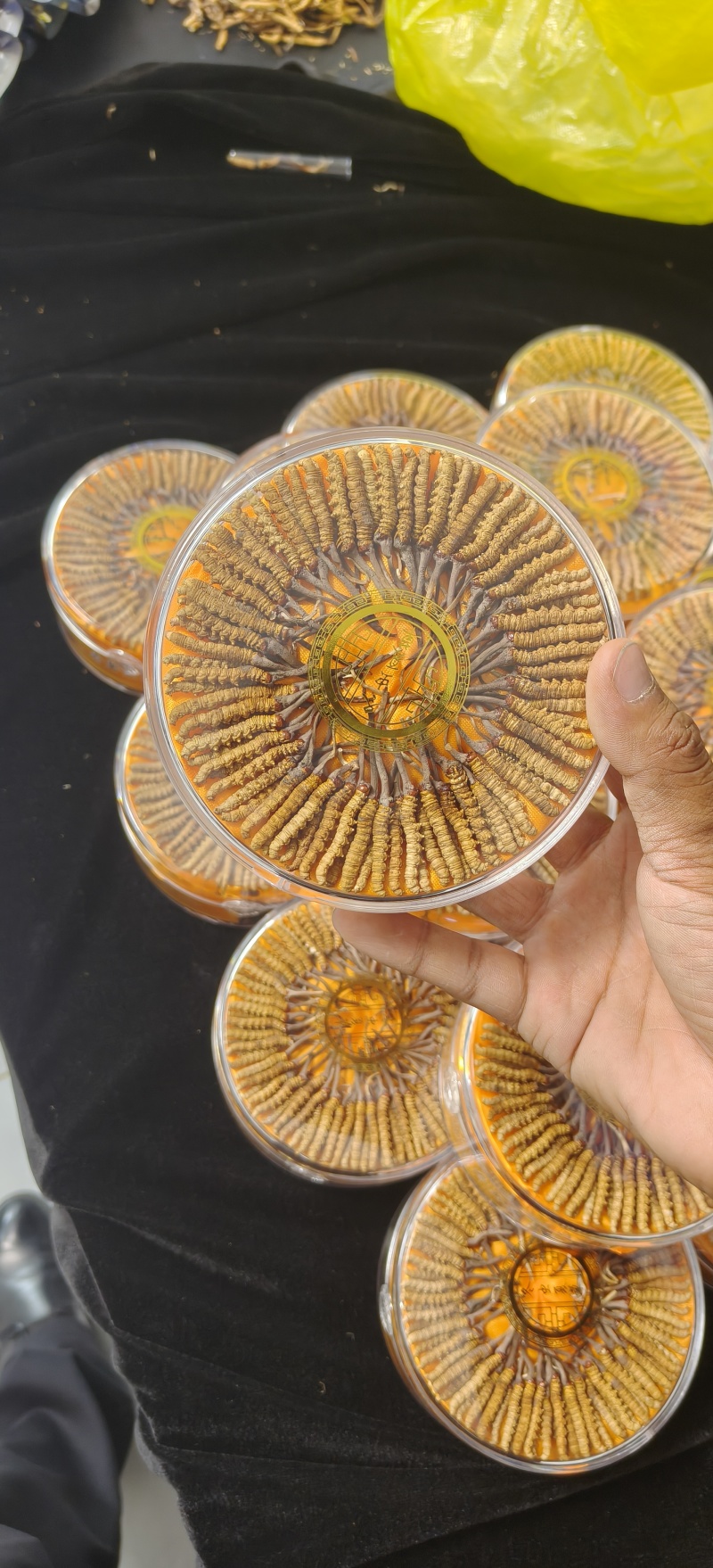 野生冬虫夏草冻干锁鲜