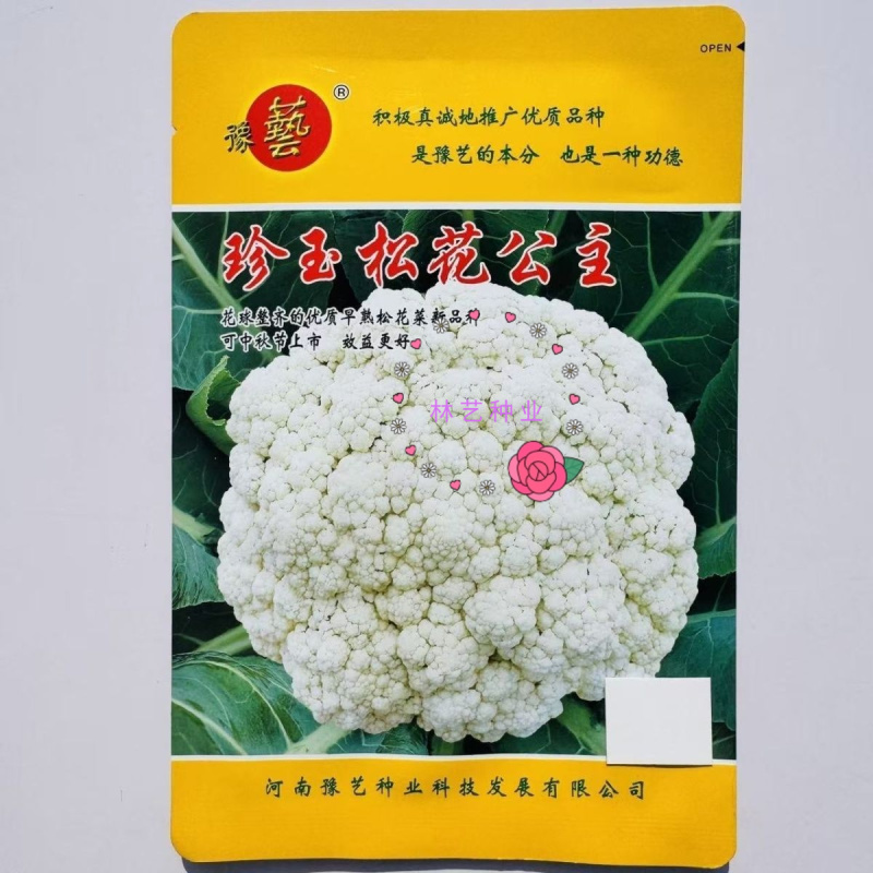 豫艺珍玉松花公主青梗松花菜种子花球整齐松大美白耐热秋播花