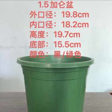 加仑盆：基地盆，育苗杯添加抗老化原料耐太阳晒