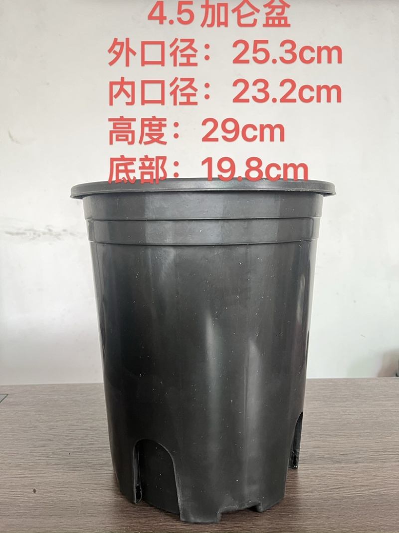 加仑盆：基地盆，育苗杯添加抗老化原料耐太阳晒