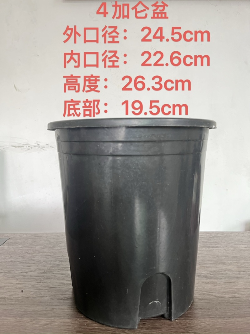 加仑盆：基地盆，育苗杯添加抗老化原料耐太阳晒