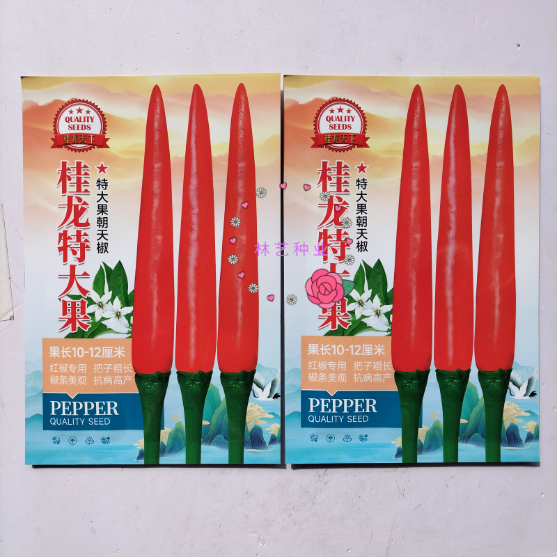 桂龙特大果朝天椒种子中晚熟单生辣度高耐热耐湿辣椒种籽蔬菜