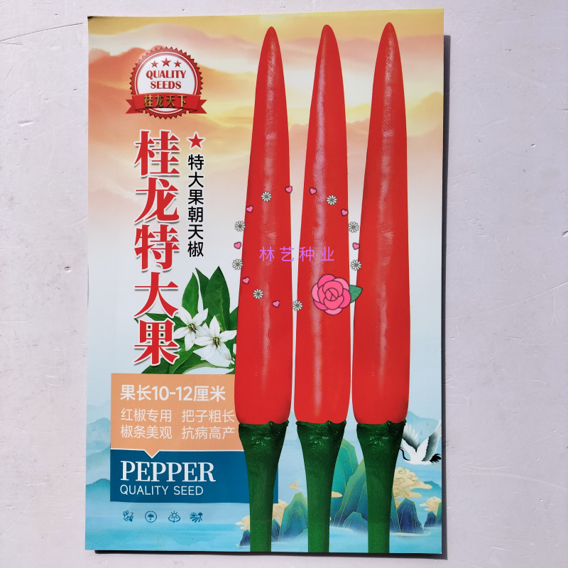 桂龙特大果朝天椒种子中晚熟单生辣度高耐热耐湿辣椒种籽蔬菜