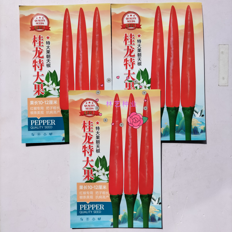 桂龙特大果朝天椒种子中晚熟单生辣度高耐热耐湿辣椒种籽蔬菜