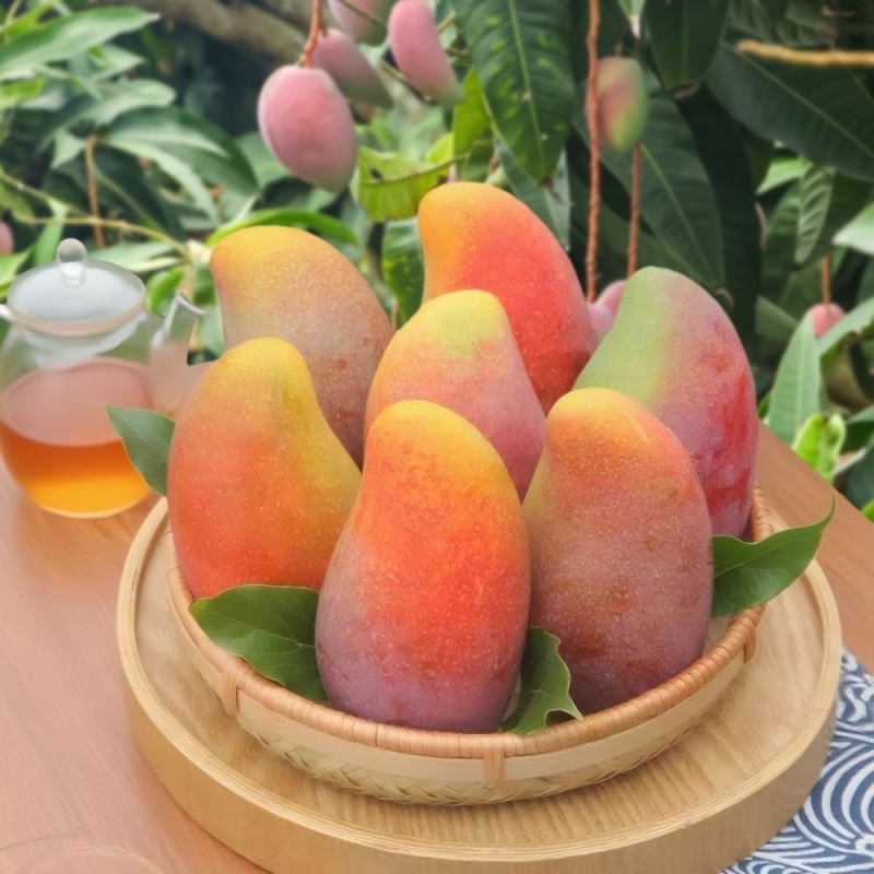 广西贵妃芒果大量上市中，支持全平台线上线下一件代发。