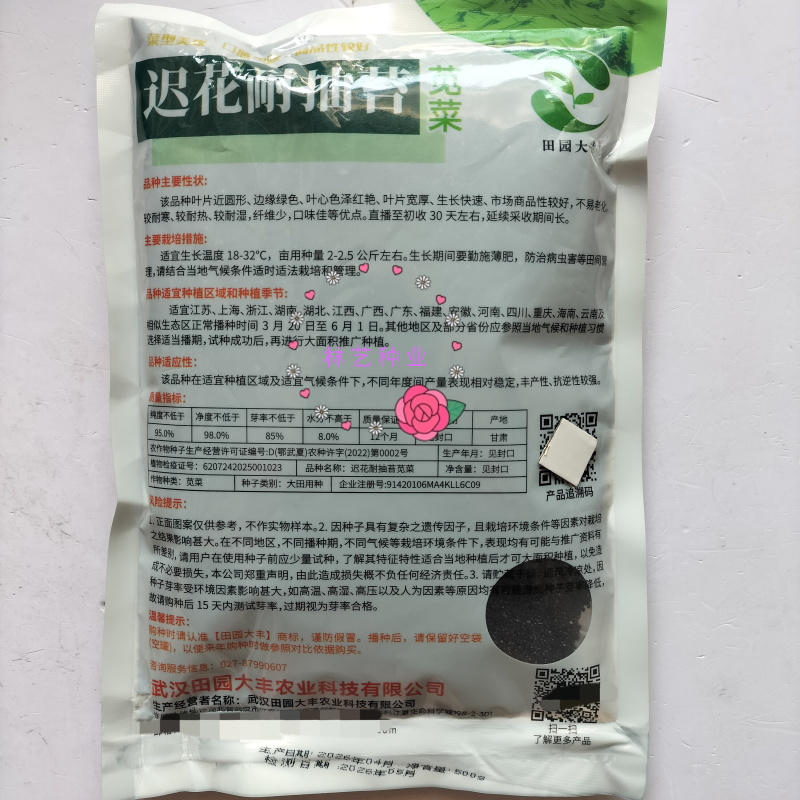迟花耐抽苔苋菜种子叶片近圆形边缘绿色叶心红艳叶片宽厚纤维