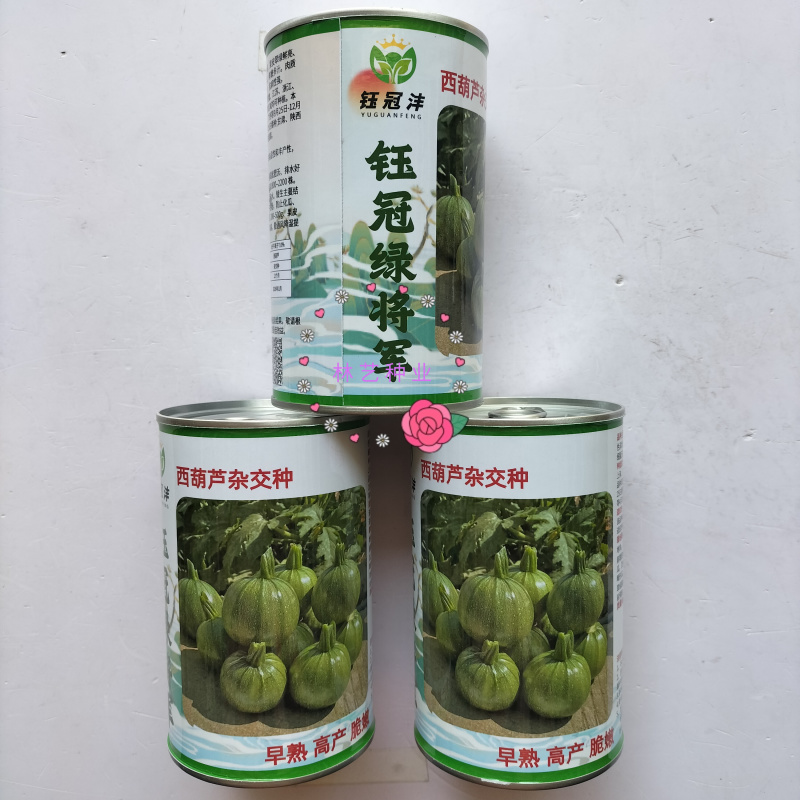 钰冠绿将军圆果西葫芦种子早熟杂交果皮翠绿鲜亮肉质脆嫩