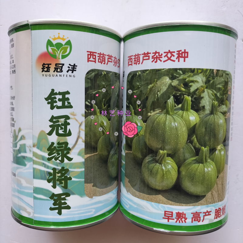 钰冠绿将军圆果西葫芦种子早熟杂交果皮翠绿鲜亮肉质脆嫩