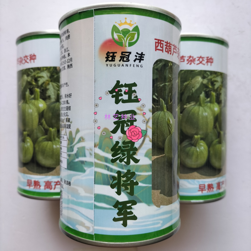 钰冠绿将军圆果西葫芦种子早熟杂交果皮翠绿鲜亮肉质脆嫩
